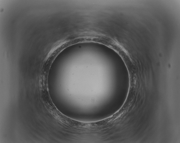 X0000086311352200704091036