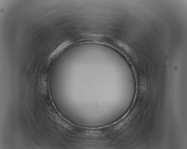 X0000086311354200704091036