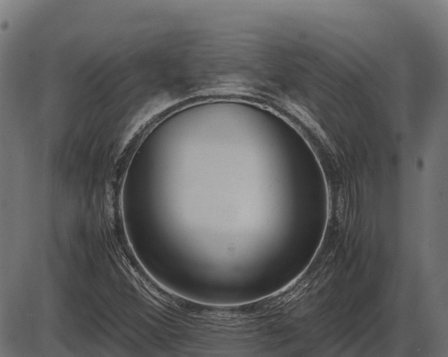 X0000086311356200704091036