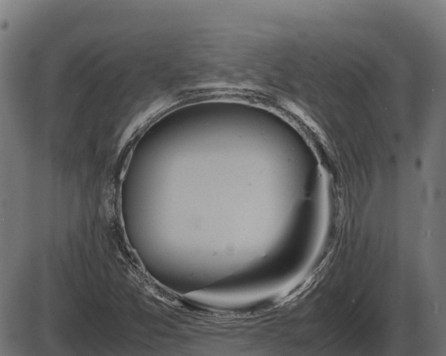X0000086311357200704091036
