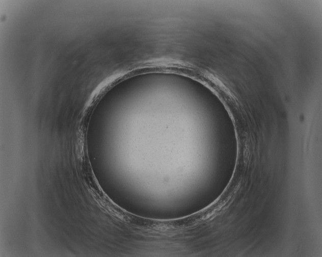 X0000086311358200704091036