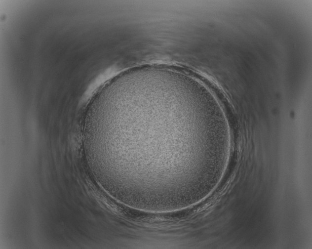 X0000086311359200704091036