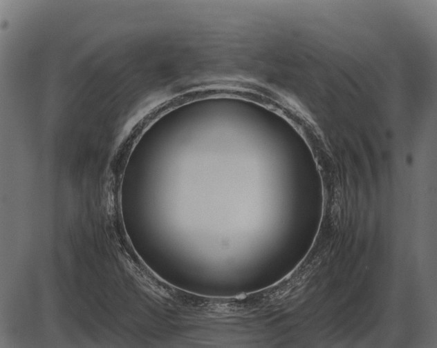 X0000086311360200704091036
