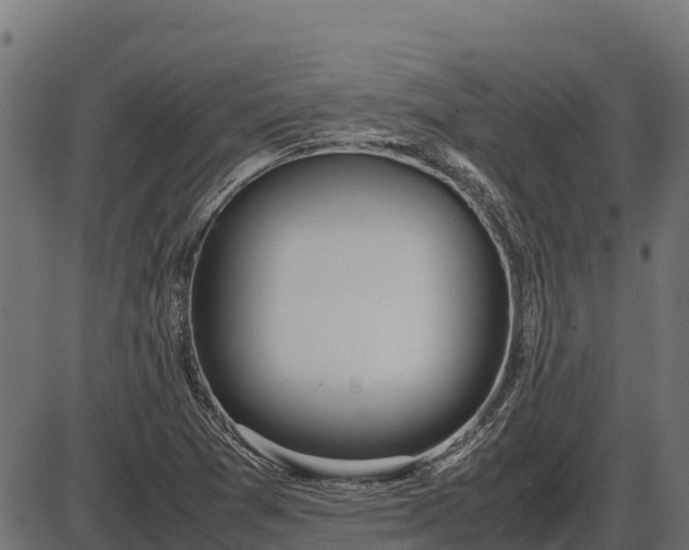 X0000086311361200704091036