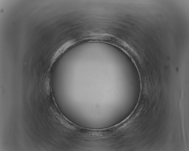 X0000086311362200704091036