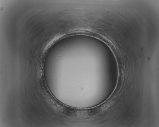 X0000086311363200704091036