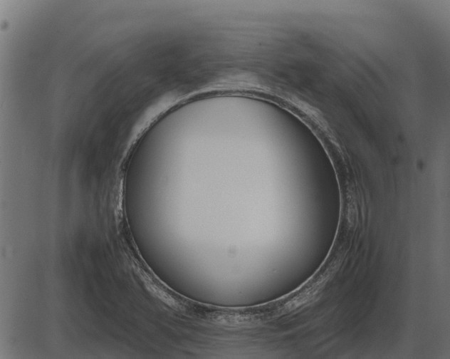 X0000086311366200704091036
