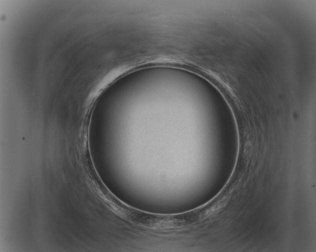 X0000086311367200704091036