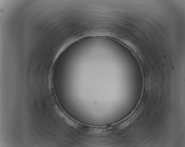 X0000086311374200704091036