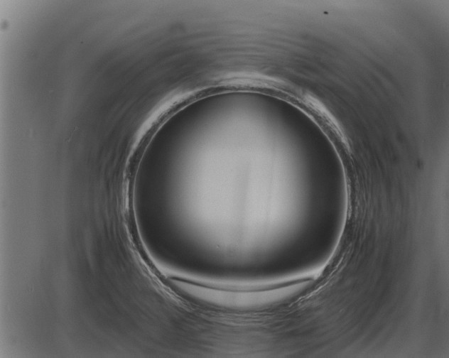 X0000086311376200704091036