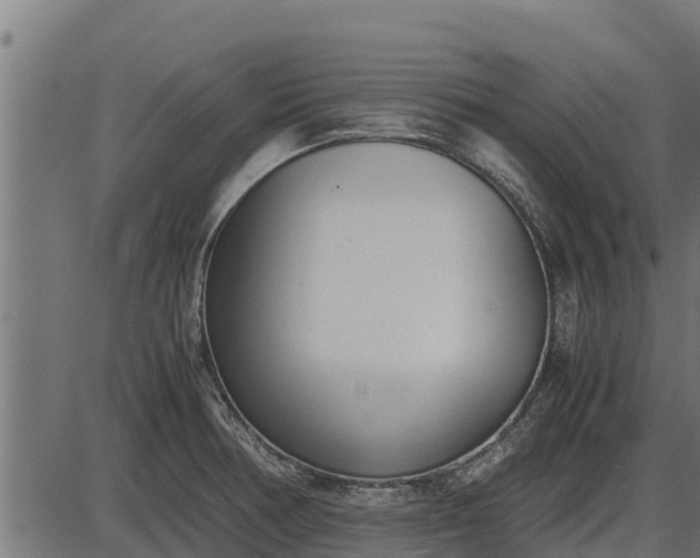 X0000086311378200704091036
