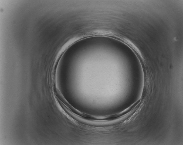 X0000086311381200704091036