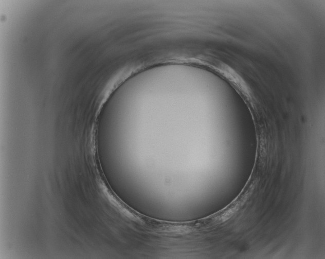 X0000086311382200704091036