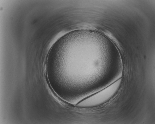 X0000086311383200704091036