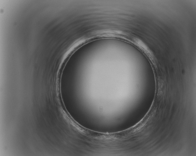 X0000086311384200704091036