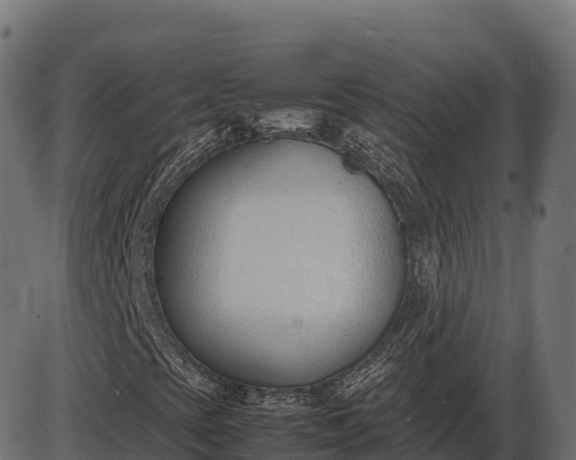 X0000086311393200704091035