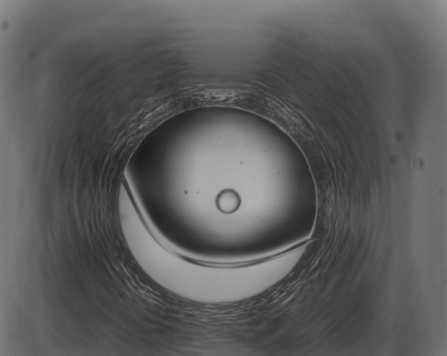 X0000086311394200704091035