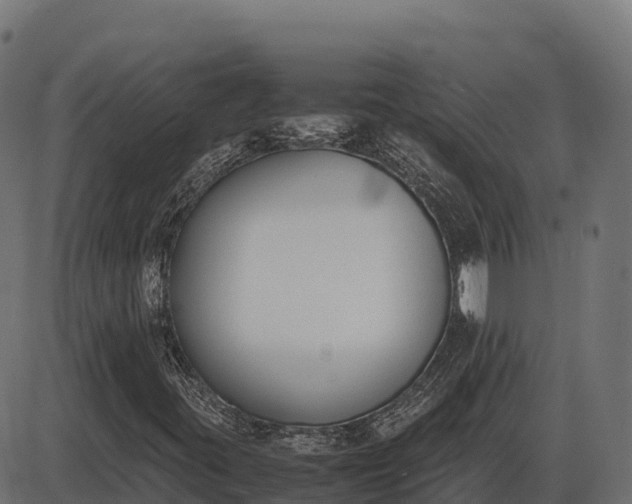 X0000086311395200704091035