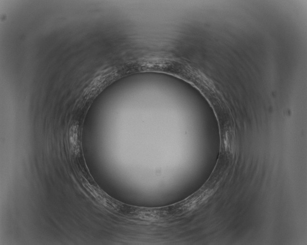 X0000086311396200704091035