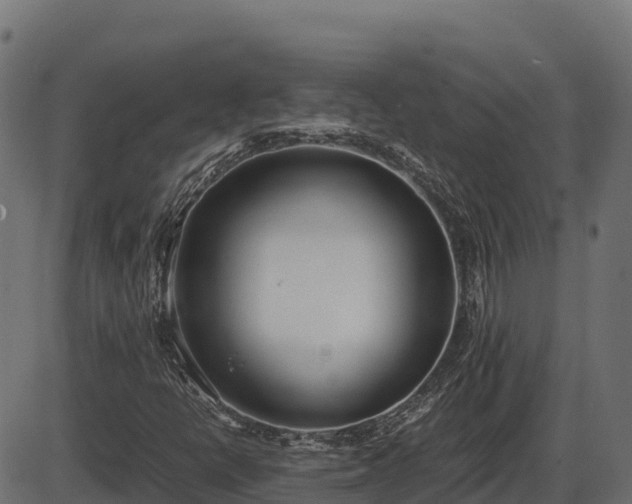 X0000086311398200704091035