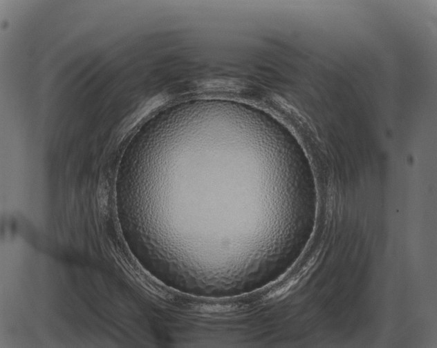 X0000086311401200704091035