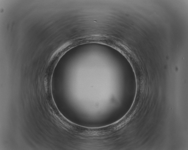 X0000086311402200704091035