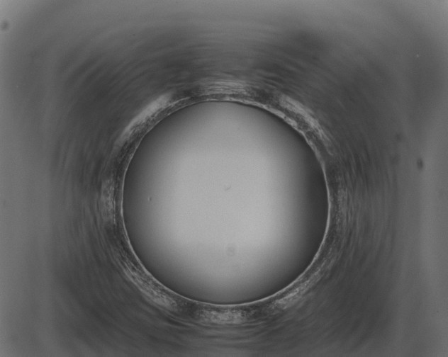 X0000086311403200704091035