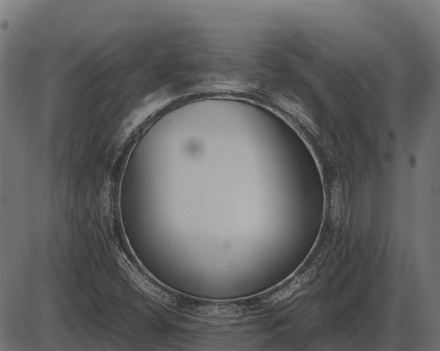 X0000086311404200704091035