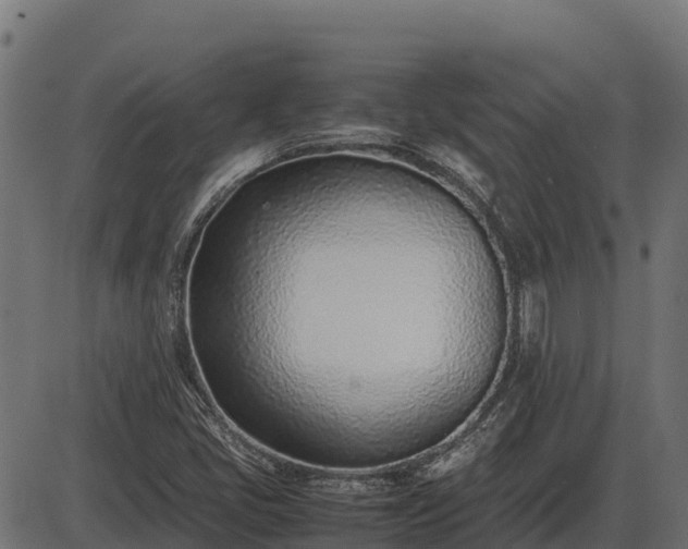 X0000086311405200704091035