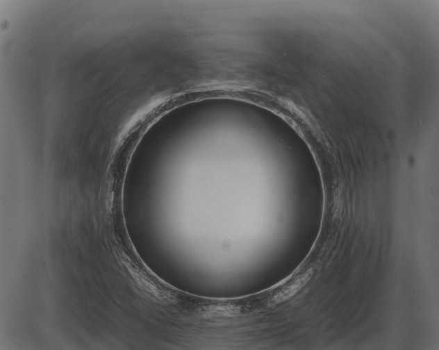 X0000086311406200704091035