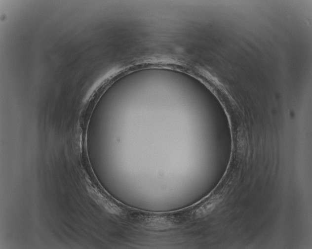 X0000086311408200704091035