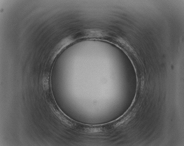 X0000086311409200704091035