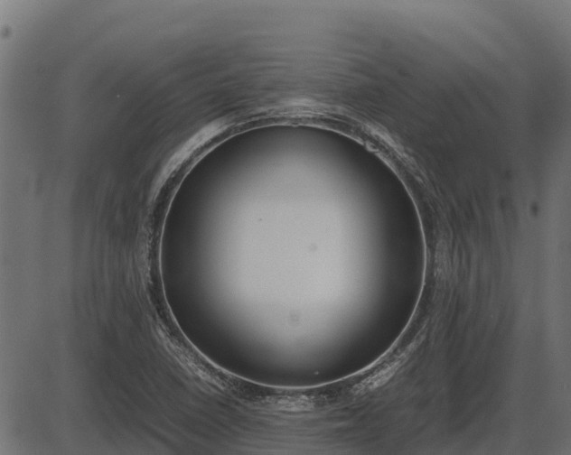 X0000086311410200704091035