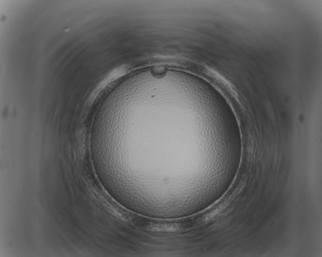 X0000086311411200704091035