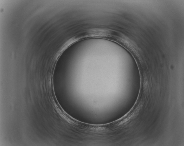 X0000086311417200704091035