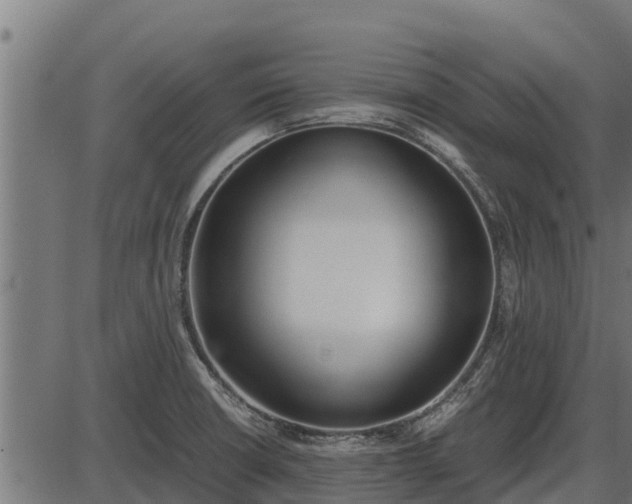 X0000086311426200704091035