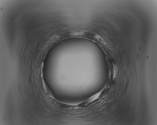 X0000086311441200704091035