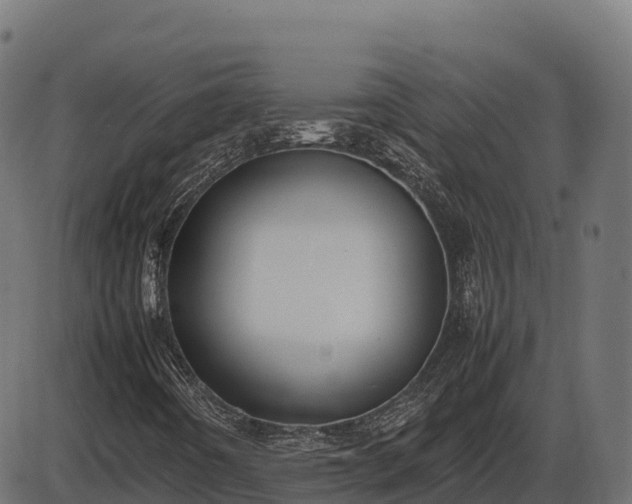 X0000086311442200704091035