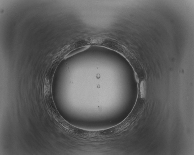 X0000086311443200704091035