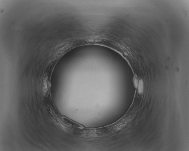 X0000086311444200704091035