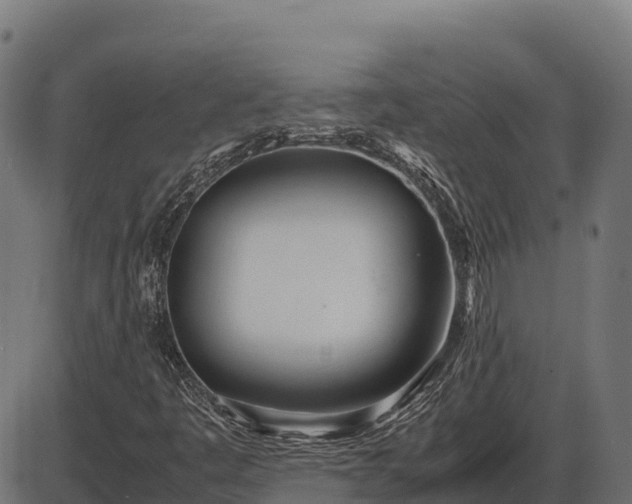 X0000086311445200704091035