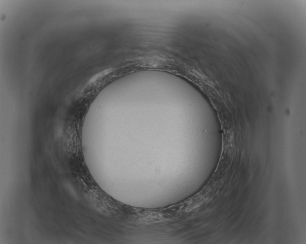 X0000086311446200704091035