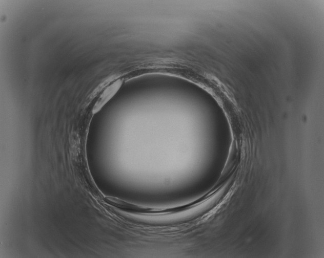 X0000086311449200704091035