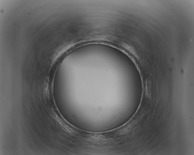 X0000086311452200704091034