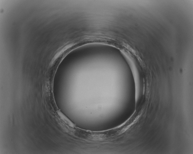X0000086311453200704091034
