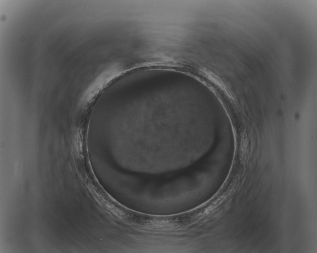 X0000086311455200704091034