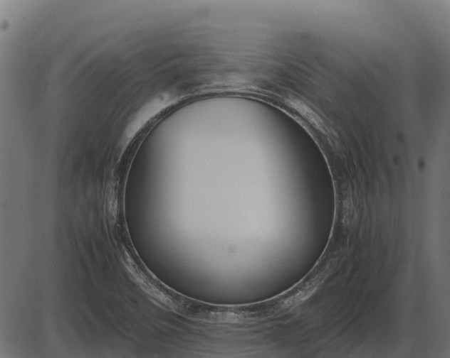 X0000086311458200704091034