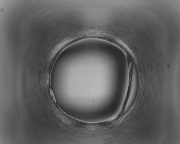 X0000086311461200704091034