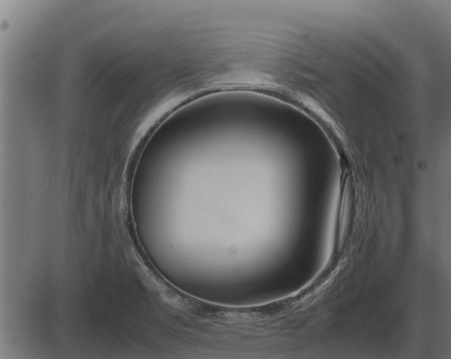 X0000086311469200704091034