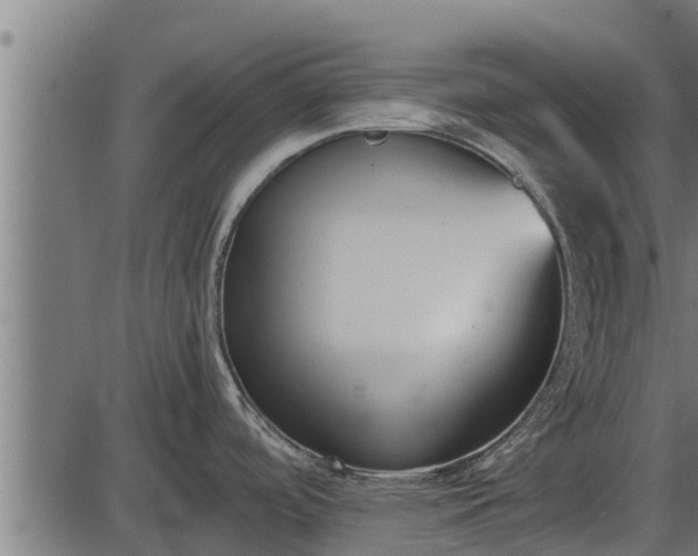 X0000086311488200704091034